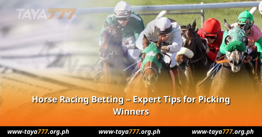 Horse Racing Betting