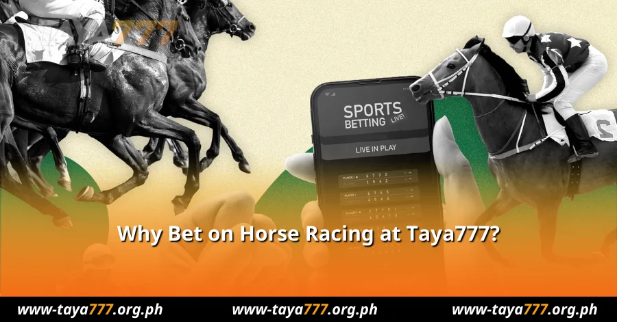 Why Bet on Horse Racing at Taya777?