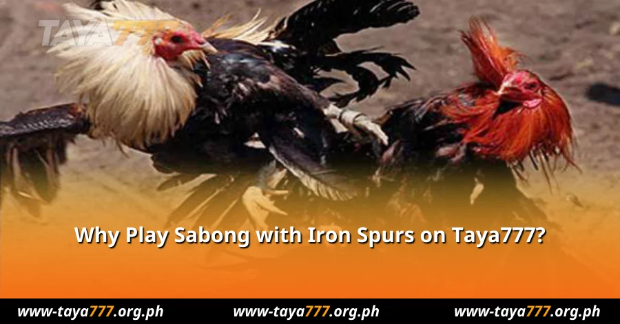 Why Play Sabong with Iron Spurs on Taya777?