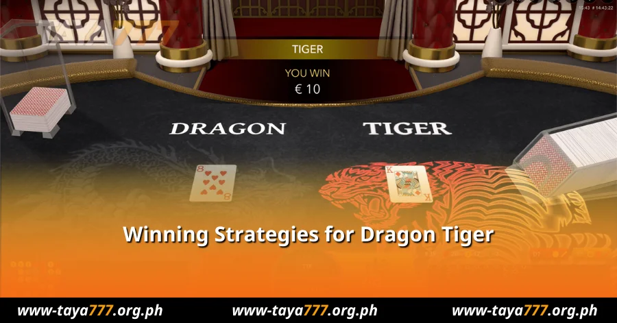 Why Play Dragon Tiger on Taya777?